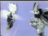 gohancell2.gif